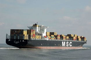 移民搬家與海上國(guó)際貨運(yùn)代理 一站式報(bào)價(jià)與廠家合作指南